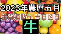 2023年农历五月 生肖运勢+吉日凶日 生肖牛5月运势