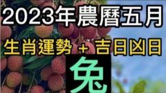 农历5月份属羊的运势