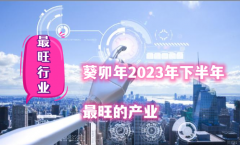 <b>葵卯年2023年的下半年的最旺的产业是什么</b>