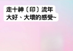 走十神〔印〕流年 大好、大坏