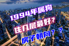 <b>1994年属狗适合住几楼最好？属狗买房什么朝向好</b>