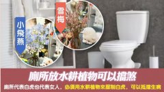 <b>廁所放水耕植物可以挡煞</b>