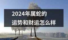 2024属蛇的运势和财运怎么样