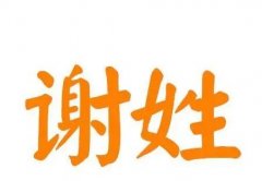 男孩带纬字高尚名字