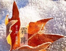 霜降是什么季节的节气？霜降