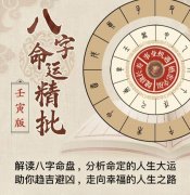 如何根据辛卯来选择适合的职业或发展方