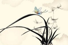 苏轼诗词中20个惊才风逸的宝宝