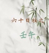 壬午日柱五行属什么？详解水火既济与杨柳木之