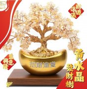 肉桂招财的风水密码：传统智慧与现代心理学的