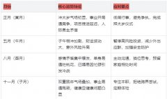 1996年属鼠人 2026年运势及运程