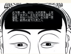 骨相大全—伏犀骨：额头有骨