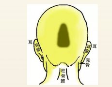 骨相大全——昆仑奇峰骨