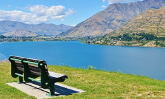 土鸡命和什么最合得来？揭秘