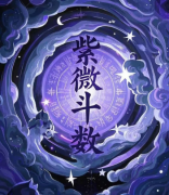 哪些命格眼光神准，跻身豪门不是梦？紫微斗数