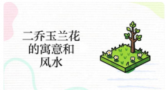 玉兰花是聚财还是破财？ 港台风水师傅道出真相