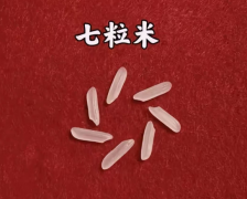 七粒米最旺的三个属相_生肖鸡