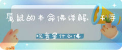 属鼠的戴观音菩萨还是千手观