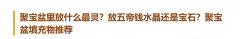 聚宝盆里放什么最灵？放五帝钱水晶还是宝石？