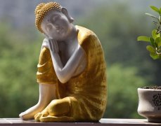 女性必知！放生乌龟10大禁忌,避祸增福必看