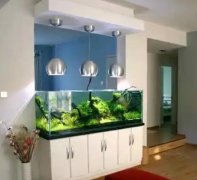 开门见鱼缸风水忌讳_家居鱼缸布局避坑指南