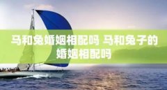 生肖兔女与马男婚配是否合适？兔马相配注意什