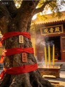 昆明盘龙寺上香跪拜流程攻略