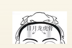 日月龙虎骨详解：顶级贵格的