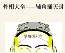 辅角插天骨详解：清贵仙品的