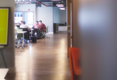 办公桌适合放什么植物风水好