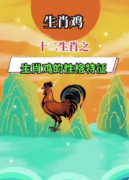 属鸡人养什么宠物最开运？选对水族或猫狗，催