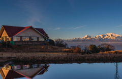 生肖鸡哪个时辰出生最好命？