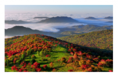 放生、布施能改善八字不合？