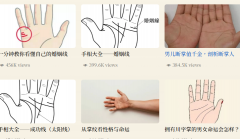 手掌上没有事业线的人，事业