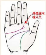 <strong>手相看哪些男人值得嫁！4大特</strong>