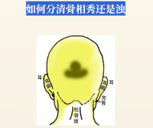 如何分清骨相秀还是浊？5大特征一眼看穿！