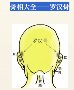 罗汉骨是什么？揭秘：刚猛之相，护法之命！