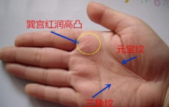 元宝纹加三角纹手相的命运好不好?富贵双全还