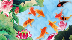 荷花鲤鱼图的寓意是什么？风