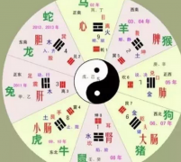 女人命带天医星意味着什么？