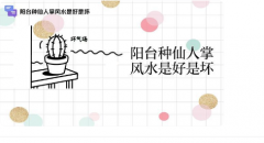 仙人掌放哪里最旺运？镇宅正