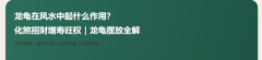 龙龟在风水中起什么作用？化