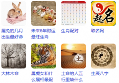 屬蛇大林木命五行缺什麼？知秋老師教你正確自