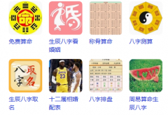 爐中火命和大林木命相配嗎？