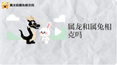 88龙男和87兔女谁旺谁？详解纳