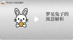 梦见兔子是什么预兆是什么意